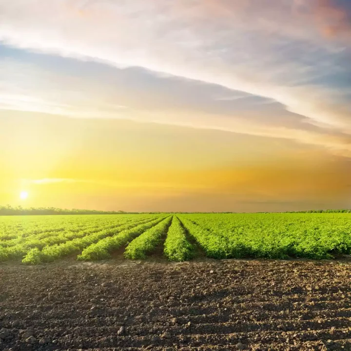 Net Agro Slika 2, Djubriva Strana